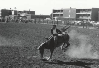 Bareback Rider at the Rodeo