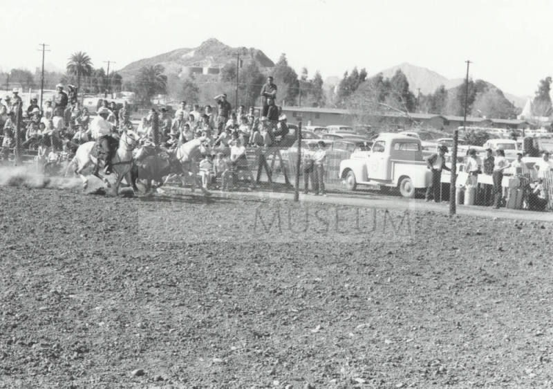 Bull Dogging at the Rodeo