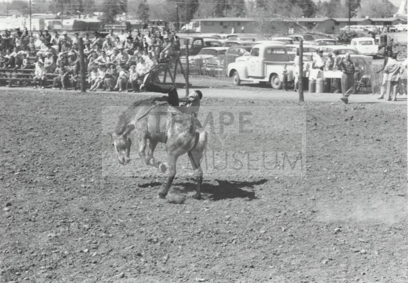 Bareback Rider Gets Thrown