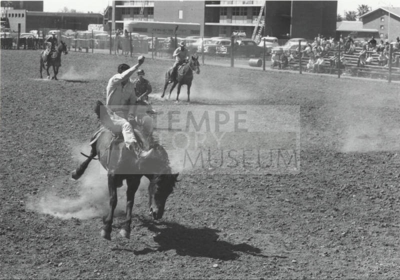 Bareback Rider