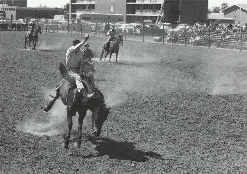 Bareback Rider