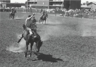 Bareback Rider