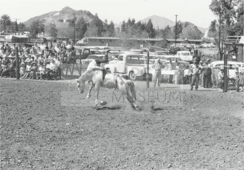 Bareback Rider Gets Thrown