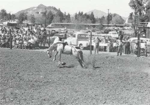 Bareback Rider Gets Thrown