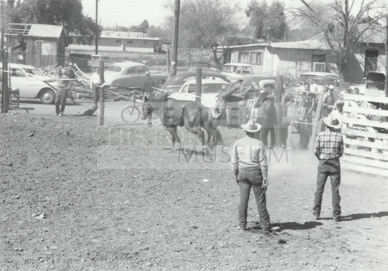Bareback Rider Gets Thrown