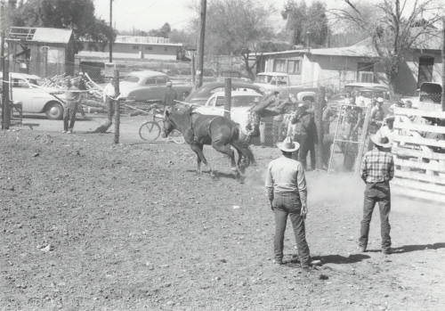 Bareback Rider Gets Thrown