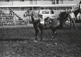 Lady Calf Roper Dismounts at the Rodeo