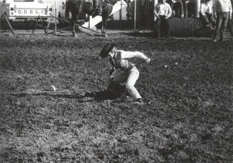 Lady Calf Roper at the Rodeo
