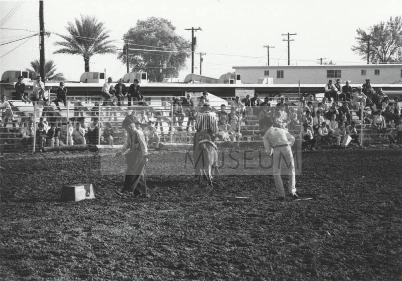 Rodeo Clowns Performing at the Rodeo