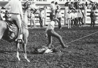 Time - A Calf Roper Hog Ties His Calf at the Rodeo