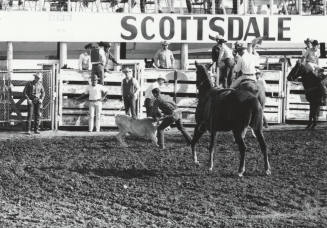 Roper Throwing the Calf at the Rodeo