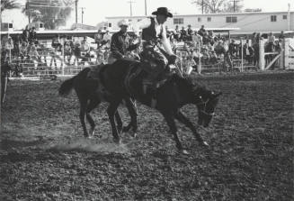 Saddle Bronc Rider a Little Air Borne at the Rodeo