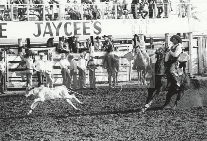 Roper Misses Calf at the Rodeo