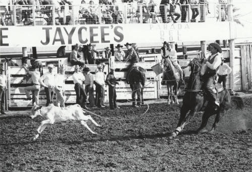 Roper Misses Calf at the Rodeo