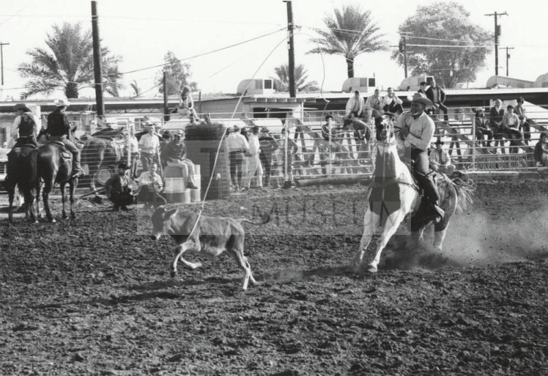 Calf Roper Reins in at the Rodeo