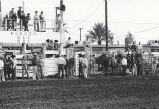 Spectators at the Rodeo