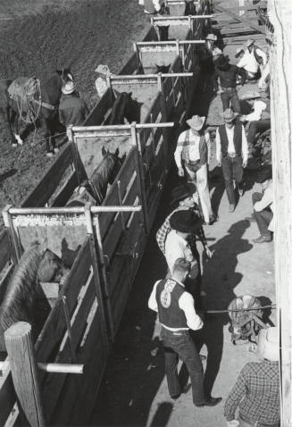 Bare Back Riders Get Ready at the Rodeo