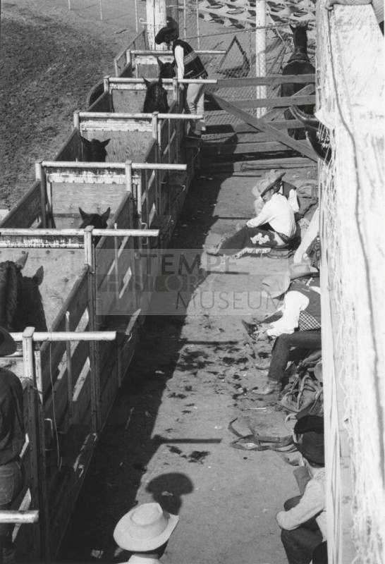 Back of the Chutes Before the Ride at the Rodeo