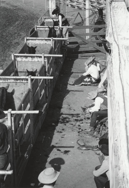 Back of the Chutes Before the Ride at the Rodeo