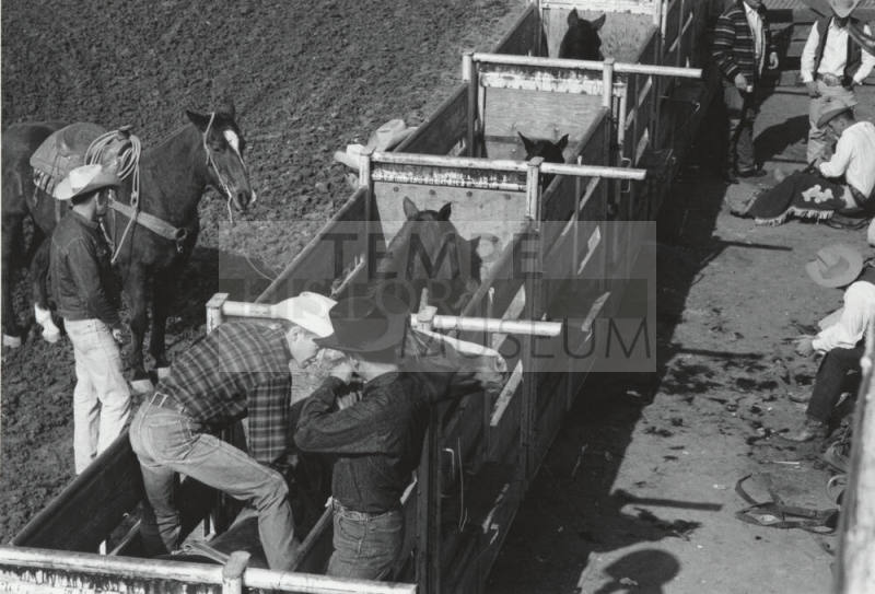 All Aboard - A Bare Back Rider Gets Set at the Rodeo