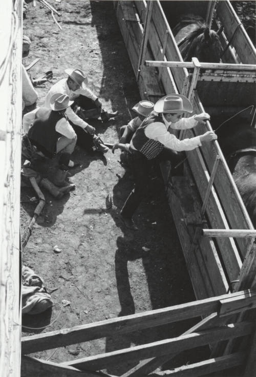 Bare Back Preparations at the Rodeo