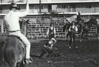 Lady Calf Roper at the Rodeo