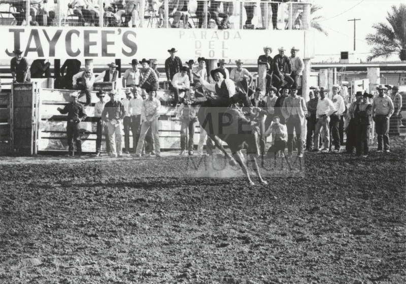 Bare Back Rider at the Rodeo