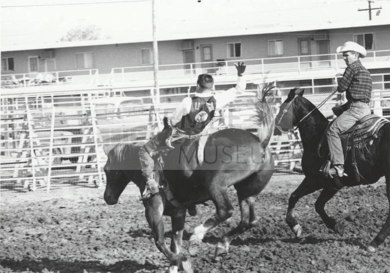 Bare Back Rider at the Rodeo