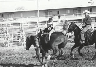 Bare Back Rider at the Rodeo