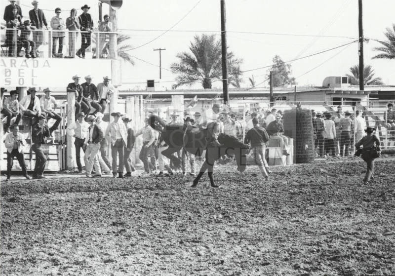 USC Bare Back Rider at ASU Rodeo