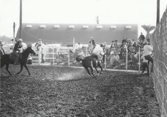 Bare Back Rider at the Rodeo