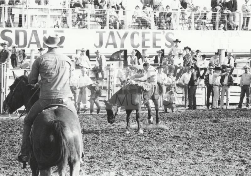 Bare Back Rider Being Thrown at the Rodeo