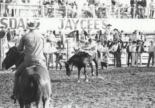 Bare Back Rider Being Thrown at the Rodeo