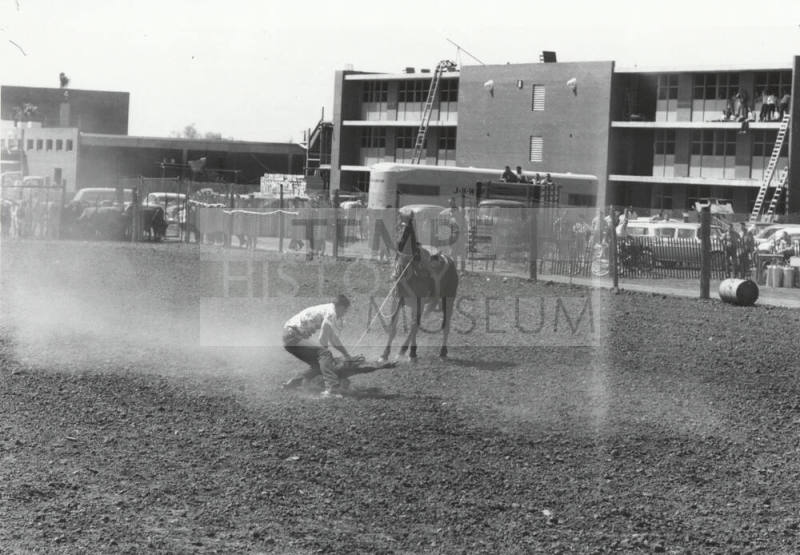Calf Roper Starts His Tie at the Rodeo