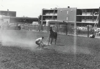 Calf Roper Starts His Tie at the Rodeo