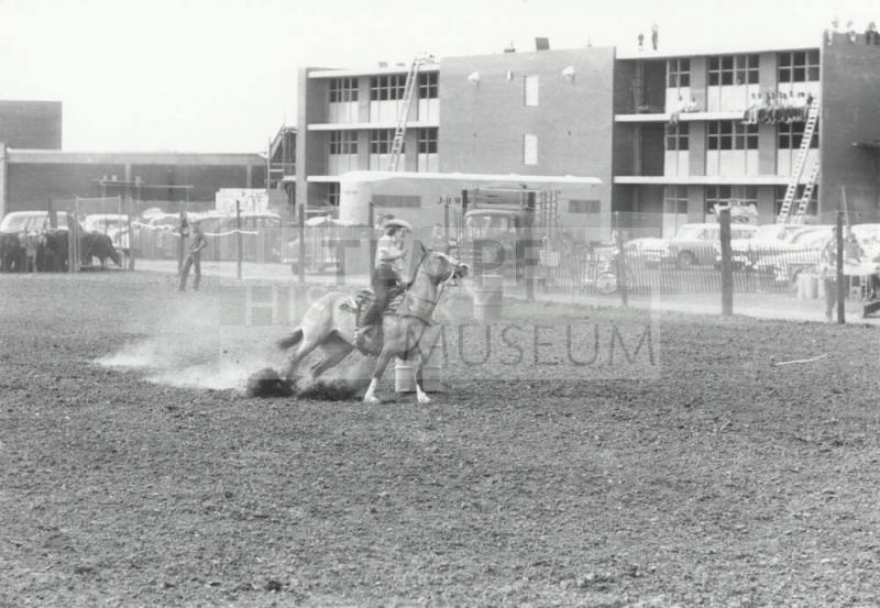 Barrel Racer at the Rodeo