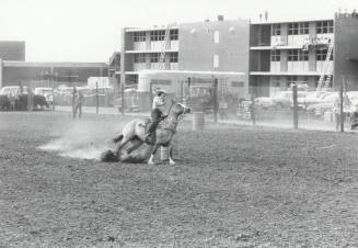 Barrel Racer at the Rodeo