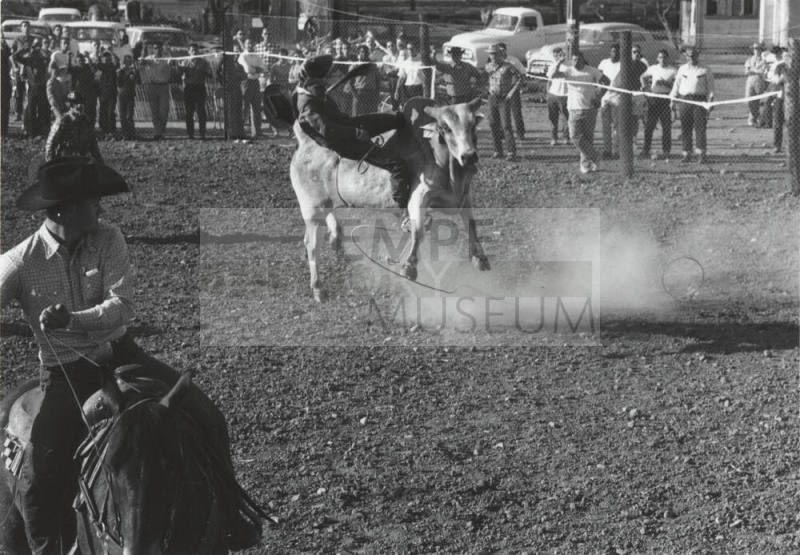 Bull Rider Gets Thrown at the Rodeo