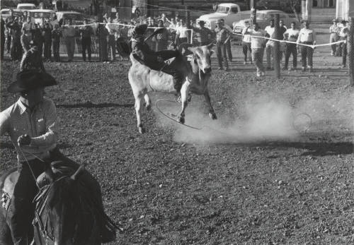 Bull Rider Gets Thrown at the Rodeo