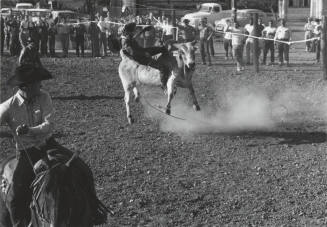 Bull Rider Gets Thrown at the Rodeo