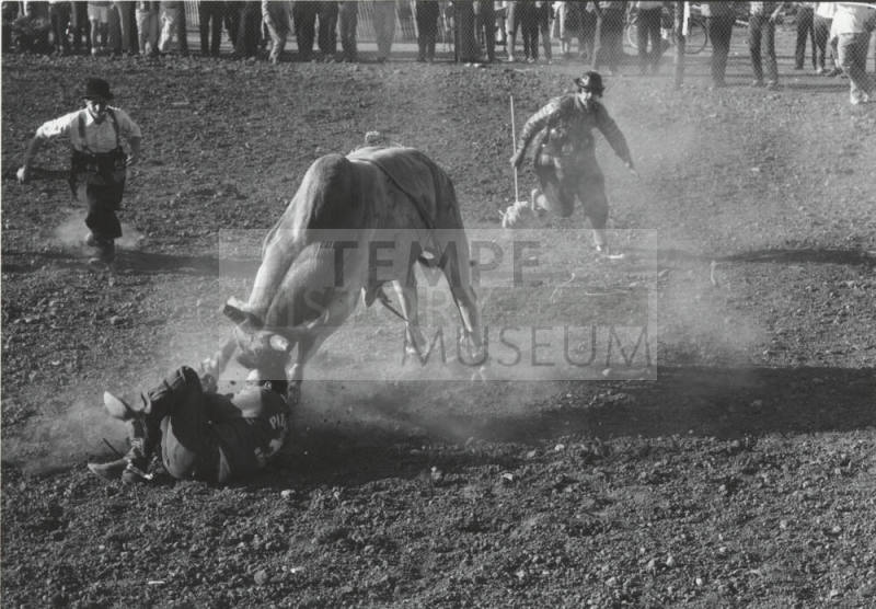 Bull Goes After Downed Rider at the Rodeo