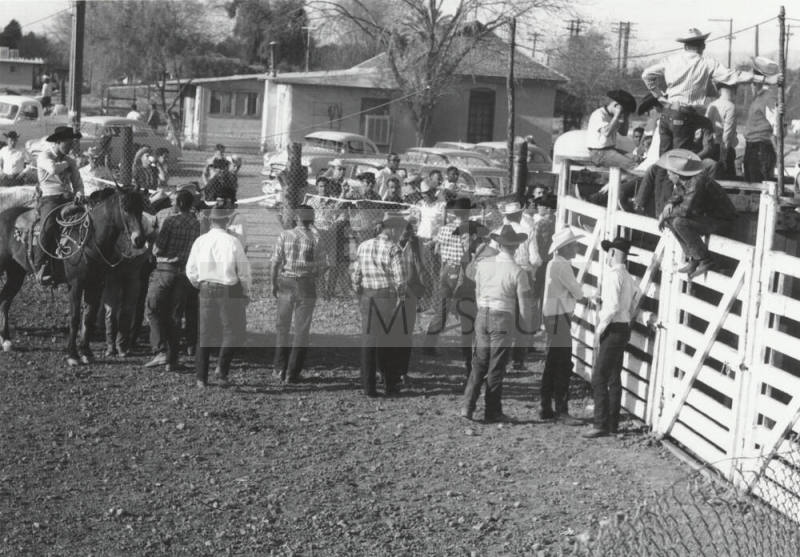 Field Staff Standing Around Chute Gates at the Rodeo