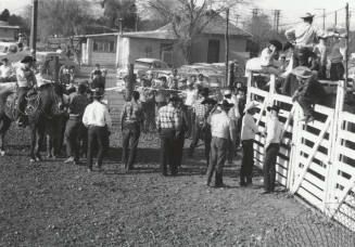 Field Staff Standing Around Chute Gates at the Rodeo