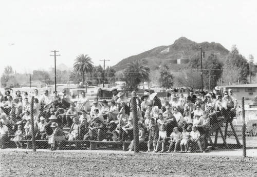 Rodeo Spectators Filling the Bleachers