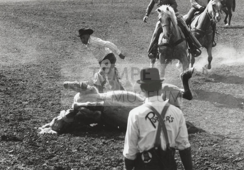 Bronc Rider and Horse Fall at the Rodeo