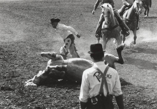 Bronc Rider and Horse Fall at the Rodeo