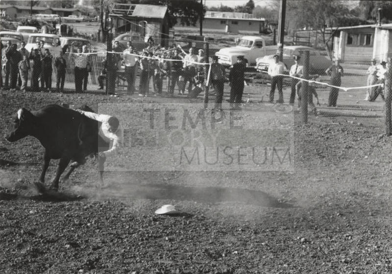 Bull Rider Gets Thrown at the Rodeo
