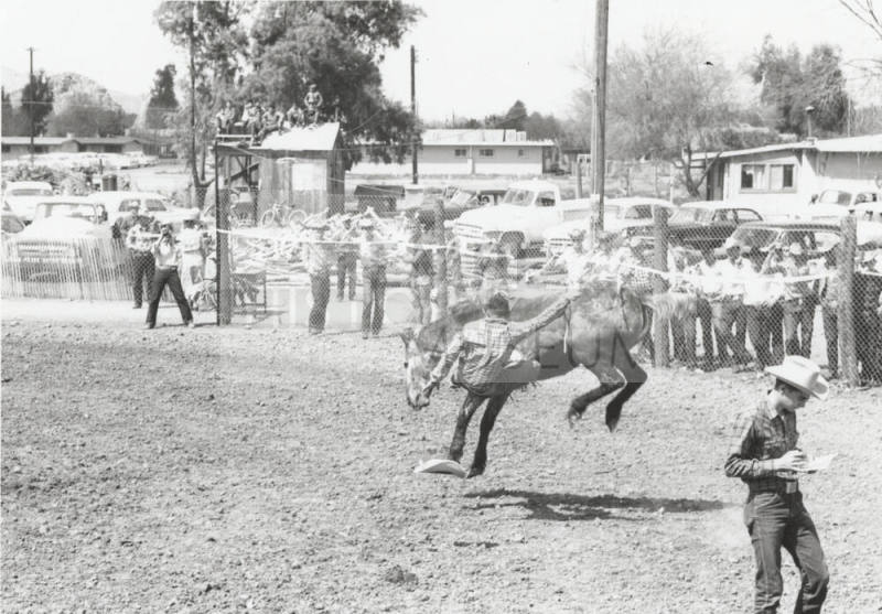 Bare Back Rider Gets Thrown at the Rodeo