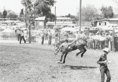 Bare Back Rider Gets Thrown at the Rodeo
