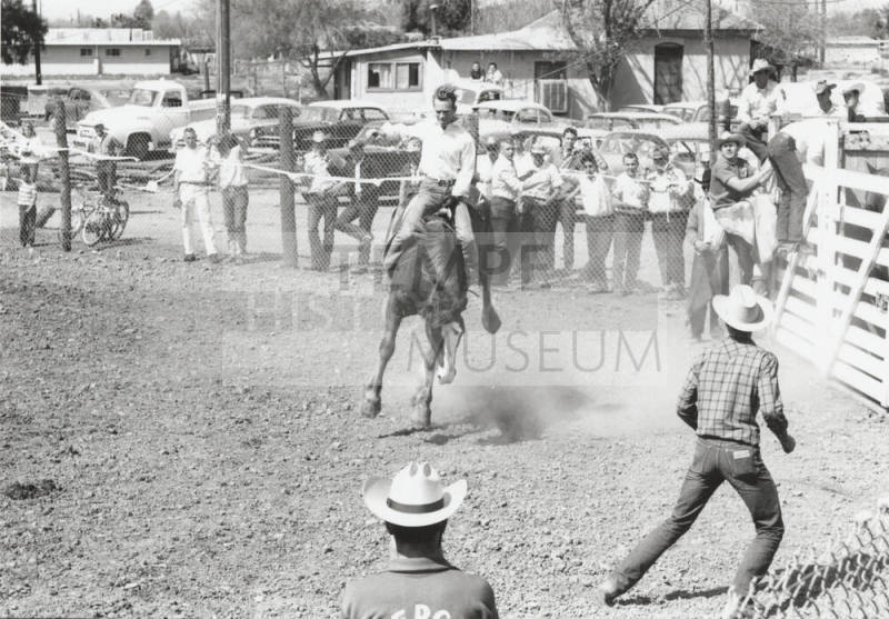 Bare Back Rider at the Rodeo